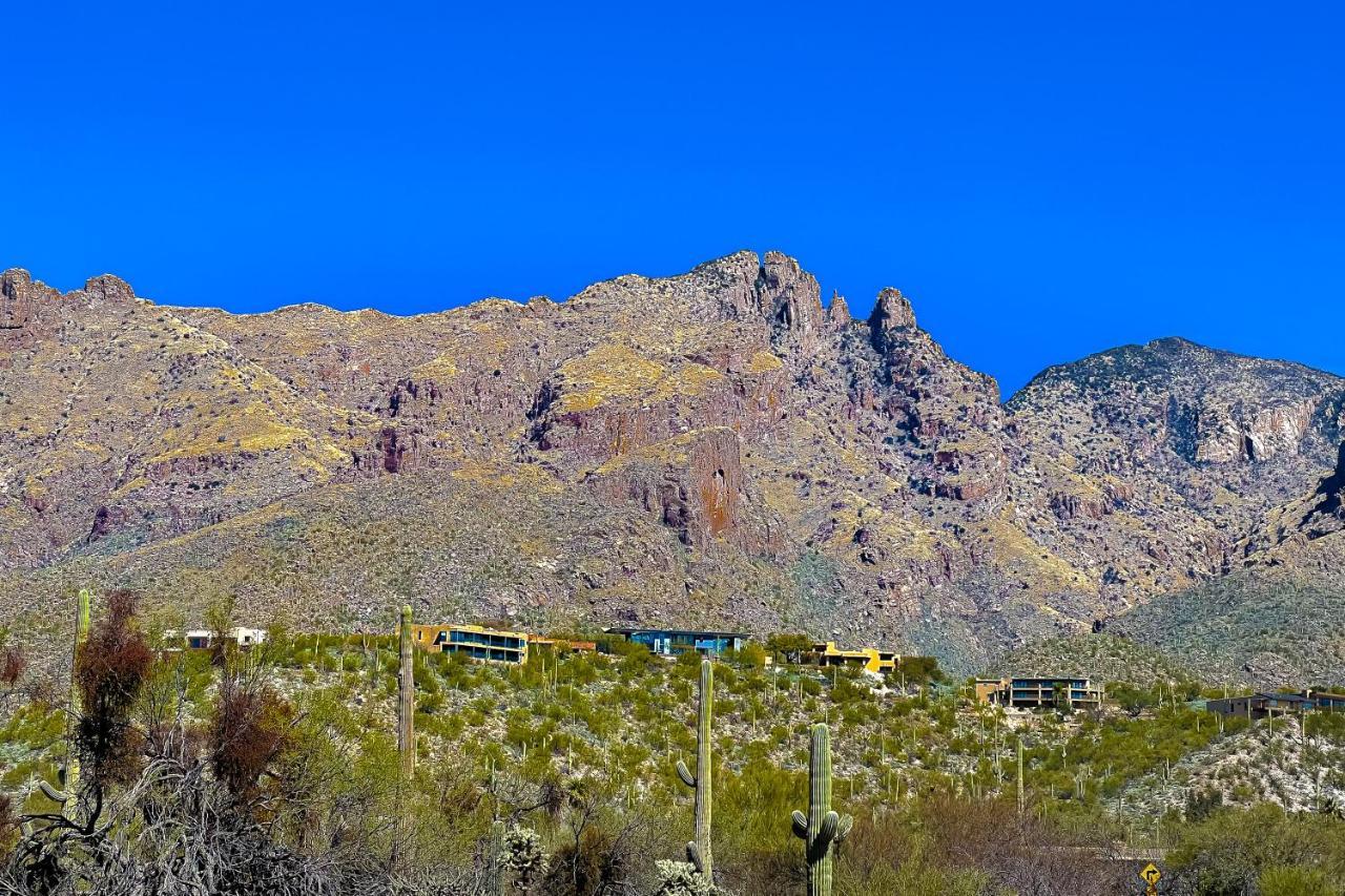 Lizard Rock Villa Tucson Kültér fotó